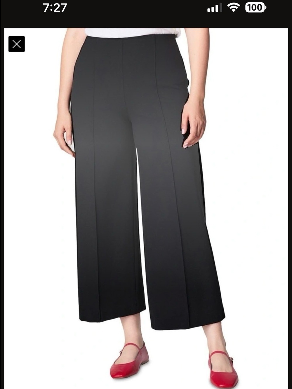 Spanx cropped Pants